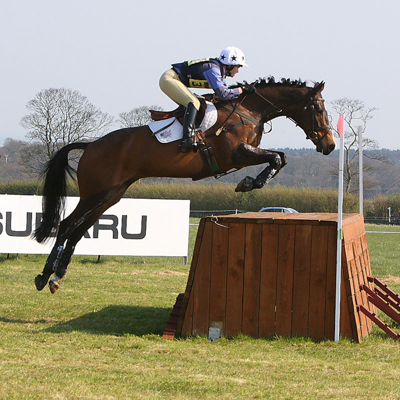 Burnham Market International Horse Trials, Sussex Farm, Burnham Market, Kings Lynn, Norfolk, PE31 8JY | The Burnham Market International Horse Trials is based in North West Norfolk and is one of the county's finest events. | Eventing, Horses, Dogs, Food, Shopping