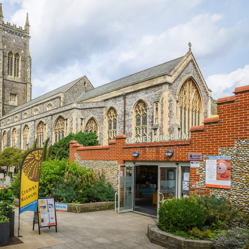 Deep History Coastal Critters at Cromer!, Cromer Museum, East Cottages, Tucker Street, Cromer, Norfolk, NR279HB | Discover the animals of the deep history coast and get involved with some fossil fun. | Half Term, Cromer, Fossil, Family, History, Museum, Mammoth, Craft