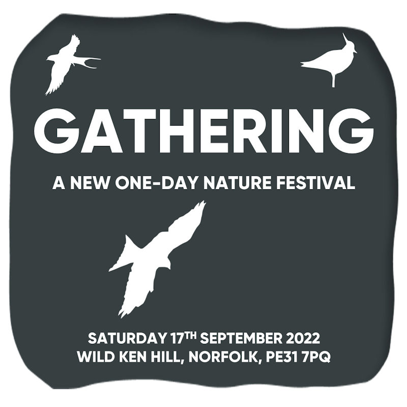 Gathering, Wild Ken Hill, Snettisham, Norfolk, PE31 7PQ | On Saturday 17th September 2022 at its site in West Norfolk, Wild Ken Hill will host Gathering - a new one-day festival which will celebrate the natural world. | nature, festival, wellbeing, creativity, talks, authors, wildlife,