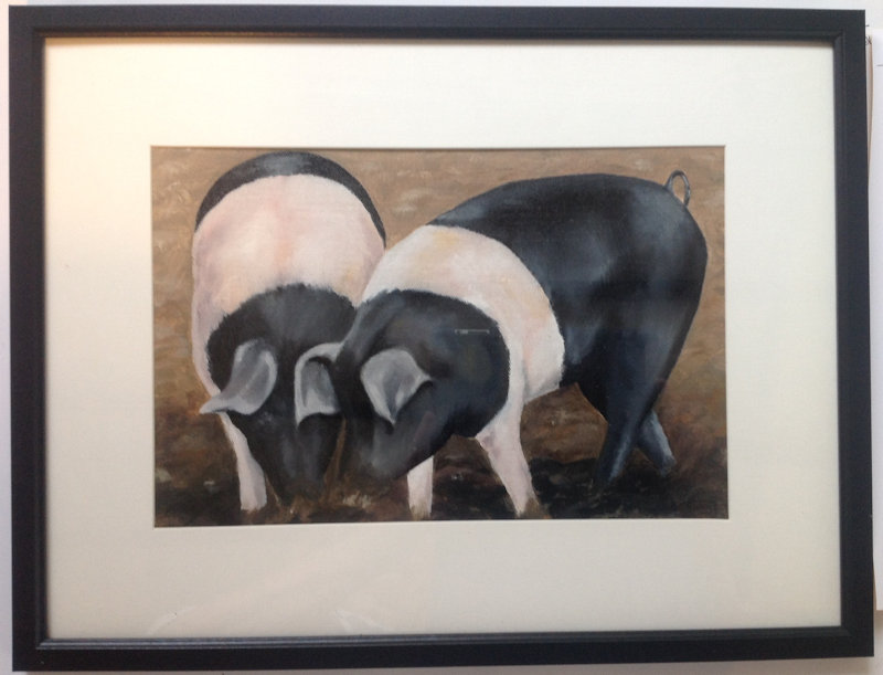 The Other Stuff! by Barbara King, Ringstead Village Hall, High Street, Ringstead, Norfolk, PE36 5JU | An exhibition of paintings by Barbara King | cows, sheep, pigs, fireworks, plants, hedgerows, shadows, reflections, folk, dance, morris, boats, vegetables, fruit, flowers,