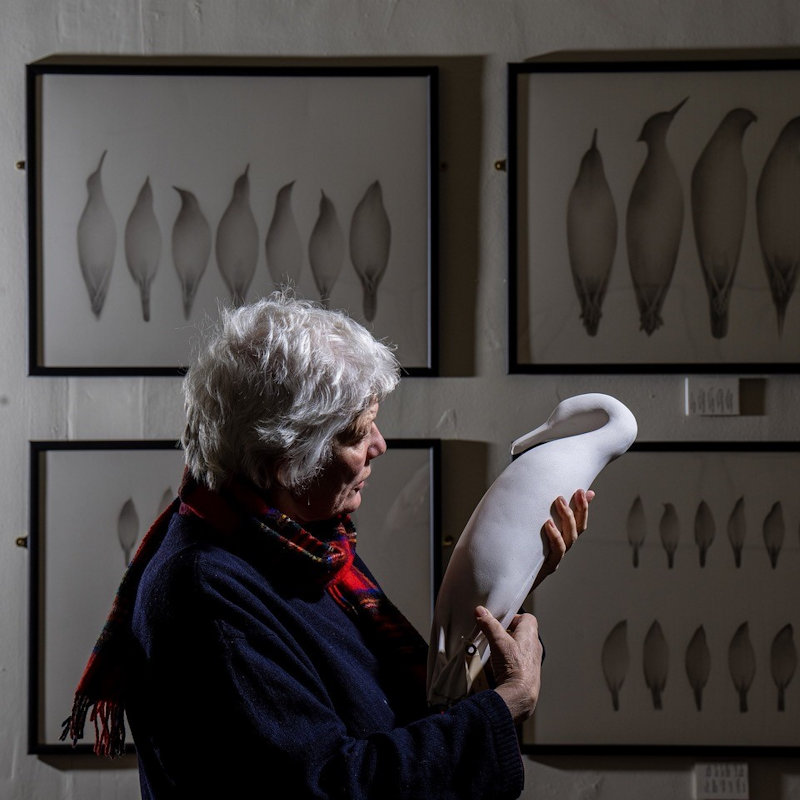 No Place to Be - Jayne Ivimey Artist Talk , Cley Marshes Visitor Centre, Coast Rd, Cley next the Sea NR25  | Jayne Ivimey artist behind the No Place to Be exhibition will give a fascinating insight into the story behind her show at Cley.   | Birds , Art Sculpture