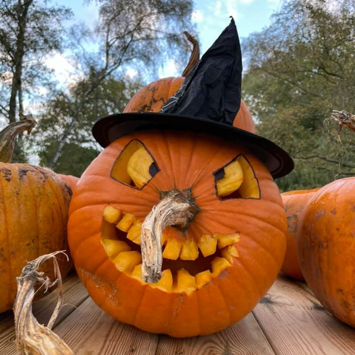 Poisons and Potions, Pensthorpe, Fakenham, Norfolk, NR21 0LN | Join us for a fang-tastic Halloween this October half term with two trails offering a ghoulish abundance of fun; pumpkin decorating, Halloween themed craft activities and much more. | Halloween