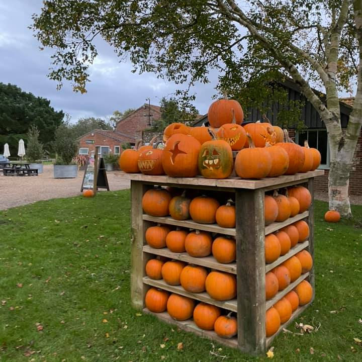 Poisons and Potions, Pensthorpe, Fakenham, Norfolk, NR21 0LN | Join us for a fang-tastic Halloween this October half term with two trails offering a ghoulish abundance of fun; pumpkin decorating, Halloween themed craft activities and much more. | Halloween