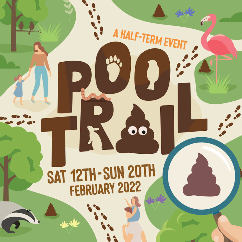 Poo Trail, Pensthorpe, Pensthorpe Road, Norfolk, NR21 0LN | Drop by this February half-term to embark on a weird and wonderful journey of discovery about poo! | February half term, family things to do, Fakenham