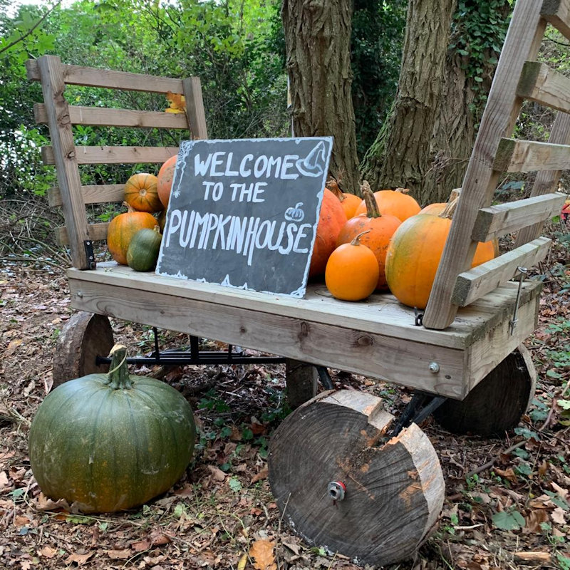 The Pumpkin House, Brookhill Farm, Fakenham Road, Thursford, GB, NR210BD | Come and visit us at the Pumpkin House. Decorated with over 1,000 pumpkins come and choose your perfect Jack o'lantern from our shelves. | Halloween, Pumpkins