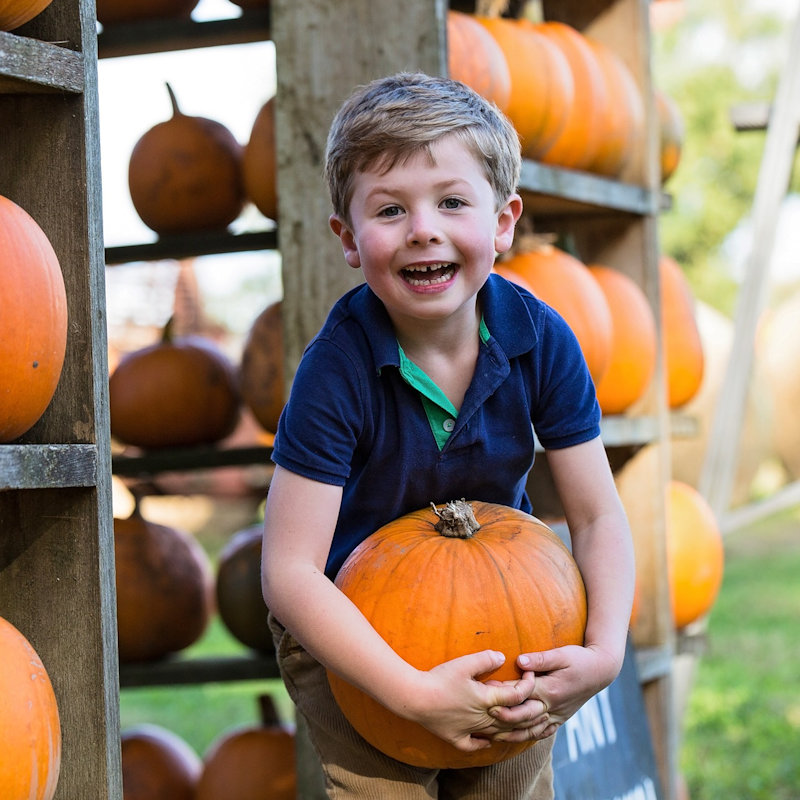 The Pumpkin House, Brookhill Farm, Fakenham Road, Thursford, GB, NR210BD | Come and visit us at the Pumpkin House. Decorated with over 1,000 pumpkins come and choose your perfect Jack o'lantern from our shelves. | Pumpkins Halloween Half Term October