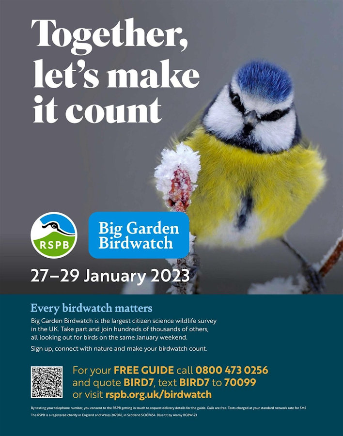 Big Garden Birdwatch, Your garden or through a window of your house | Big Garden Birdwatch is fun, free and for everyone. And you don't need a garden to take part! Counting birds from your balcony, or your local park will play a vital role in helping us understand how UK birds are doing. | rspb, bird, watching, wildlife, garden