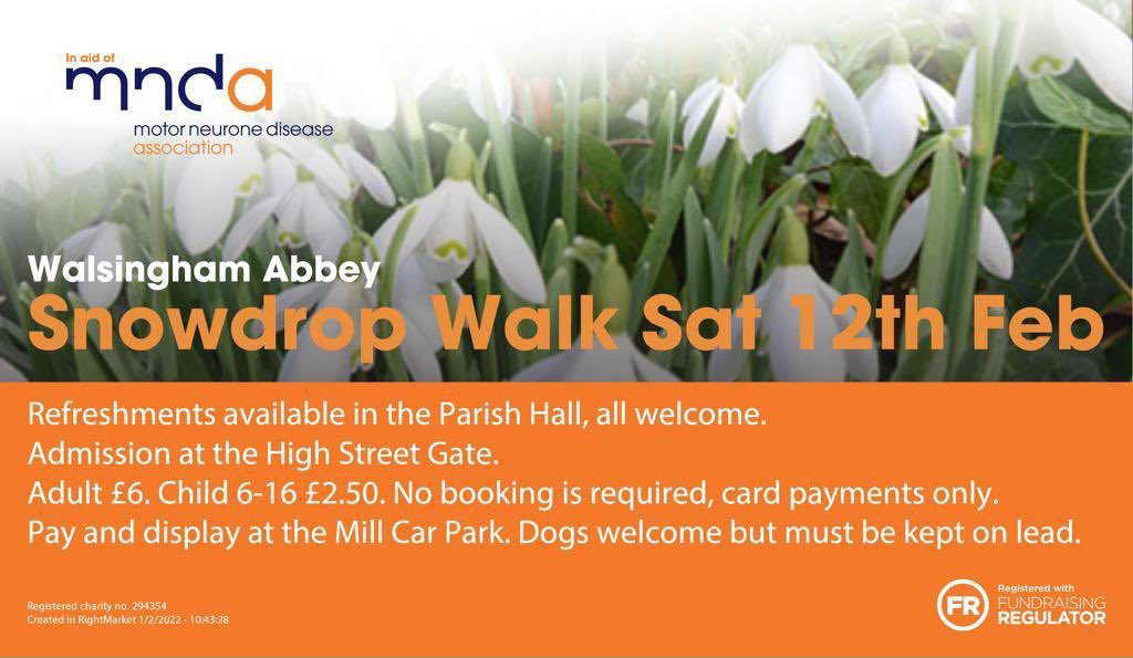 Walsingham Abbey Charity Snowdrop Walks, Walsingham Abbey Grounds, The Shirehall Museum, Common Place, Walsingham, Norfolk, NR22 6BP | Our annual charity day, this year in aid of the Motor Neurone Disease Association in Norfolk | snowdrops, gardens open for charity, charity, heritage, historic place, woodland, nature, gardening, good causes